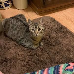 Meet your Posher, Mia